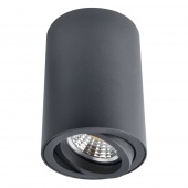 Потолочный светильник Arte Lamp  SENTRY A1560PL-1BK